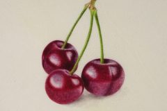 Cherries on vellum