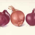 Onions